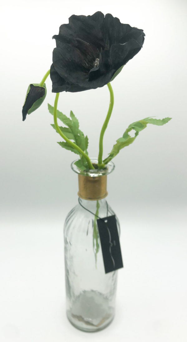 black wild poppy