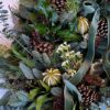 Natural Wreath